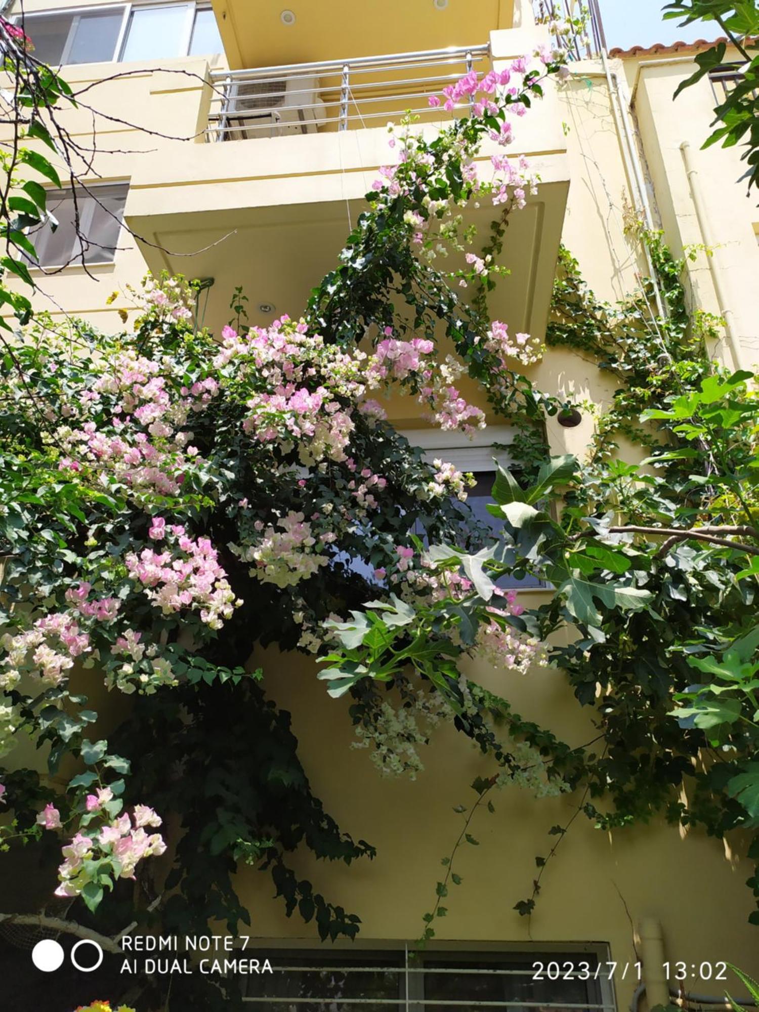 Georgia'S Family Apartment Heraklion  Екстер'єр фото
