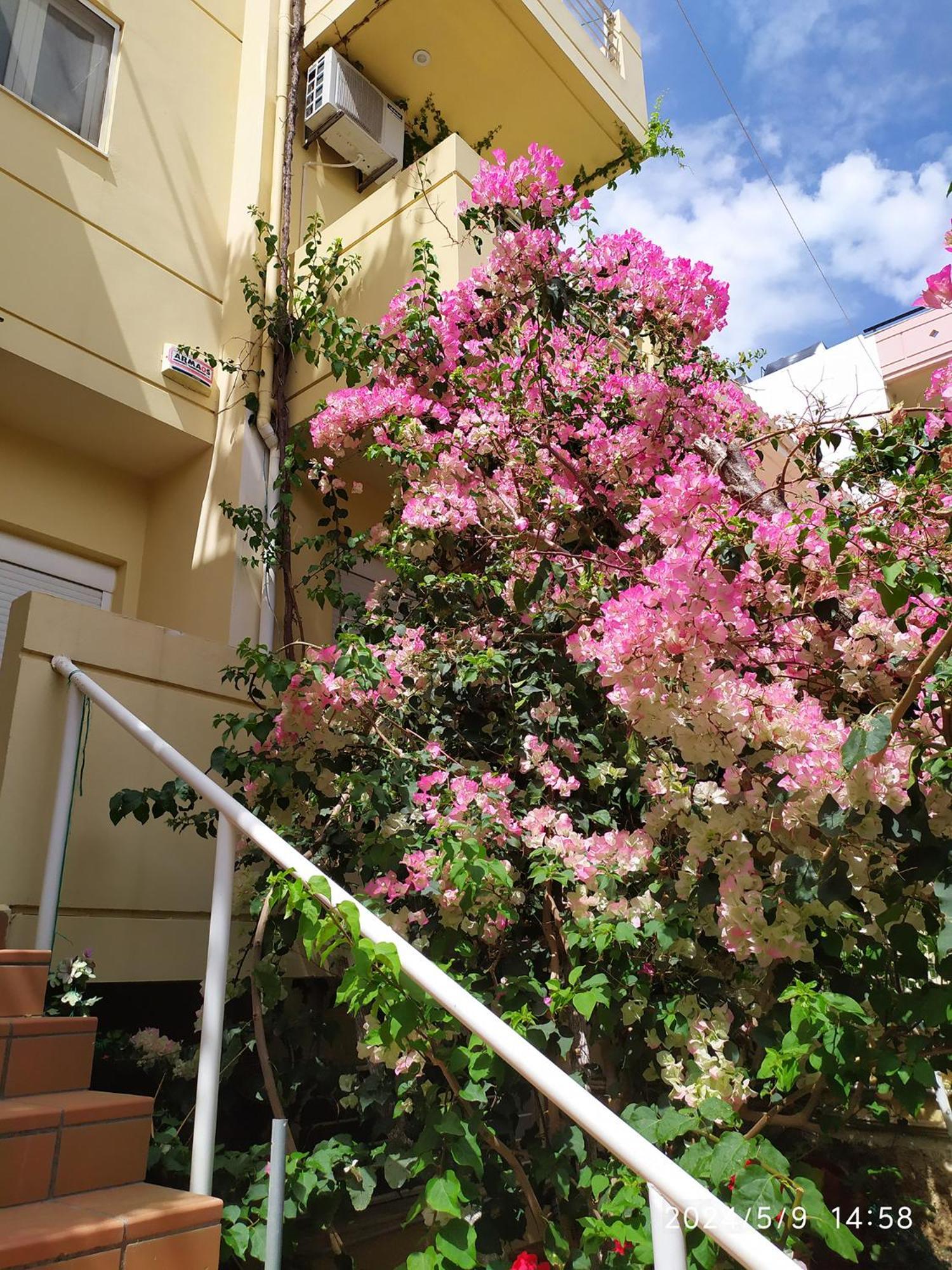 Georgia'S Family Apartment Heraklion  Екстер'єр фото